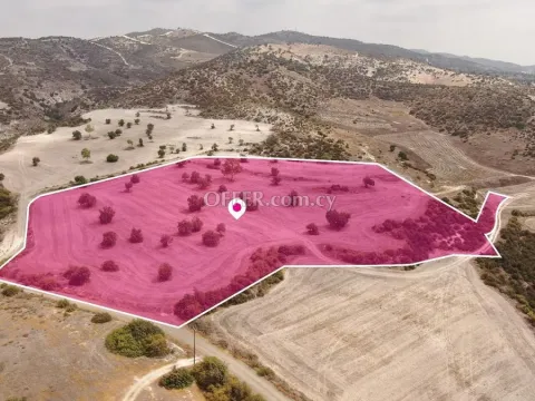 Agriculture Field in Skarinou Larnaca - Main Photo