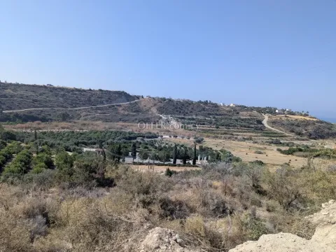 Land Parcel 29106 sm in Kouklia, Paphos - 13