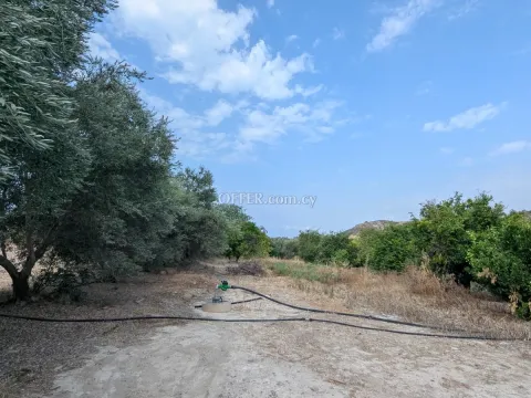 Land Parcel 3738 sm in Kouklia, Paphos - 4