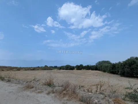 Land Parcel 3011 sm in Kouklia, Paphos - 4
