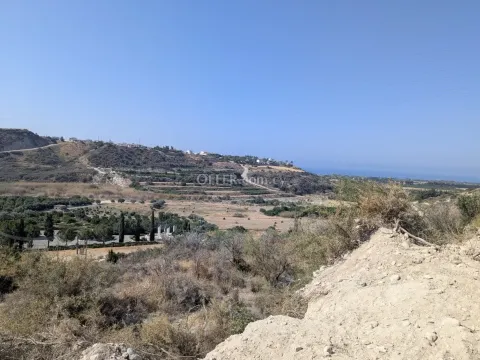 Land Parcel 29106 sm in Kouklia, Paphos - 12