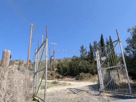 Land Parcel 6710 sm in Kouklia, Paphos - 9