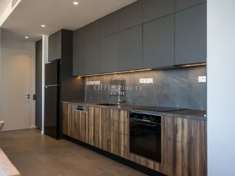 Luxury Two Bedroom Apartment in Heart of Protaras - 4