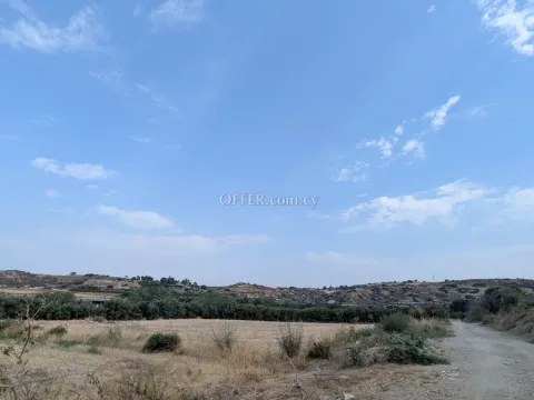 Land Parcel 3011 sm in Kouklia, Paphos - 3