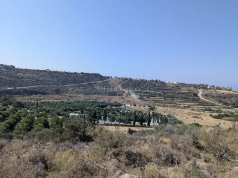 Land Parcel 29106 sm in Kouklia, Paphos - 11