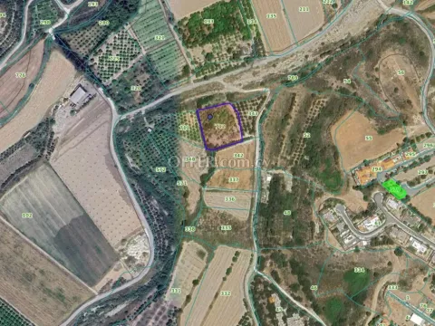 Land Parcel 3738 sm in Kouklia, Paphos - 2