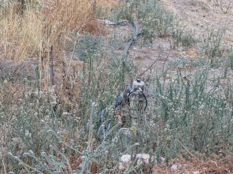 Land Parcel 3011 sm in Kouklia, Paphos - 2