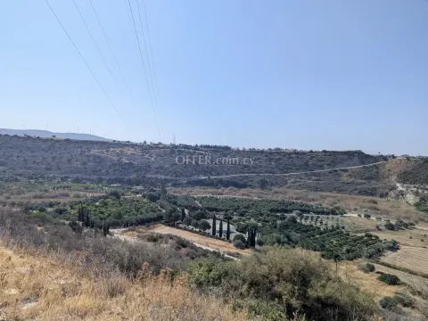 Land Parcel 29106 sm in Kouklia, Paphos - 10
