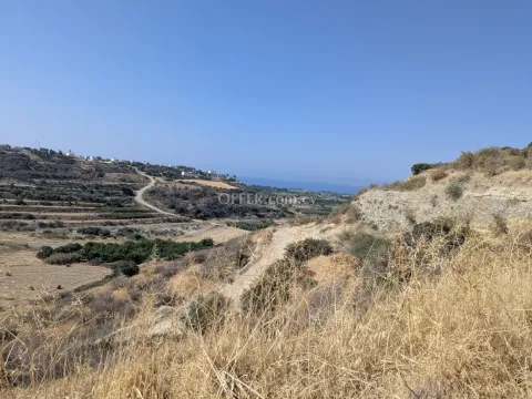 Land Parcel 29106 sm in Kouklia, Paphos - 9