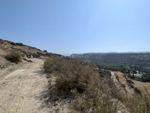 Land Parcel 29106 sm in Kouklia, Paphos - 7