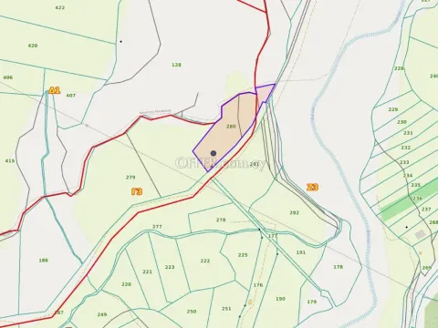 Land Parcel 6710 sm in Kouklia, Paphos - 4