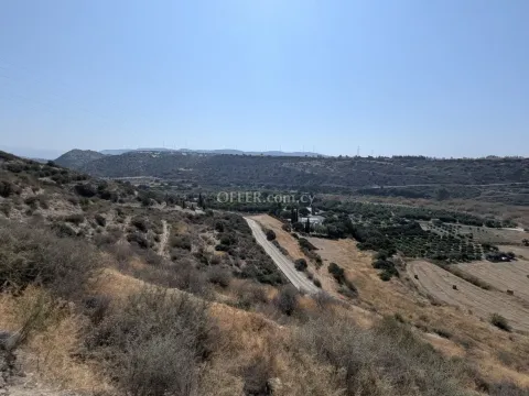 Land Parcel 29106 sm in Kouklia, Paphos - 6