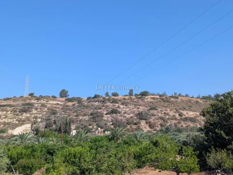 Land Parcel 6710 sm in Kouklia, Paphos - 3