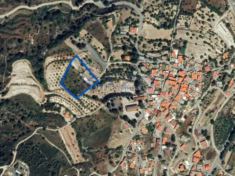 Large 2778 m2 Field for Sale Agios Mamas (Landlocked) - Main Photo