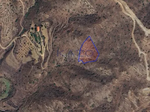 Large 4683m2 Field for Sale in Eptagonia (Landlocked) - Main Photo
