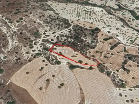 Field for sale in Pentakomo, Limassol - Main Photo