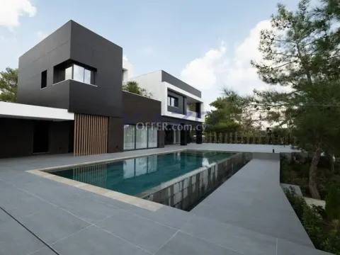 Spacious Villa in Pine Souni with Pool Gym - 12