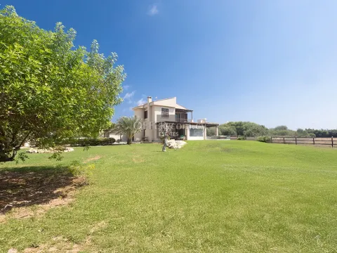 Charming Three Bedroom Villa Nestled in Protaras - 14