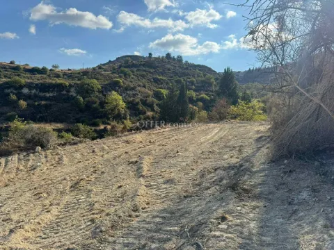 Agricultural Field for sale in Pachna, Limassol - Main Photo