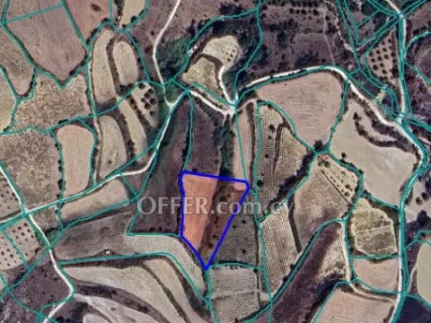 Agricultural Field for sale in Thrinia, Paphos - Main Photo