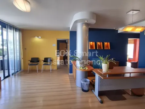 Office, Standard Office, Nicosia, Egkomi - Main Photo