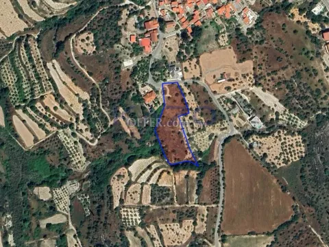 Large Development Plot for Sale in Green Monagri - Main Photo