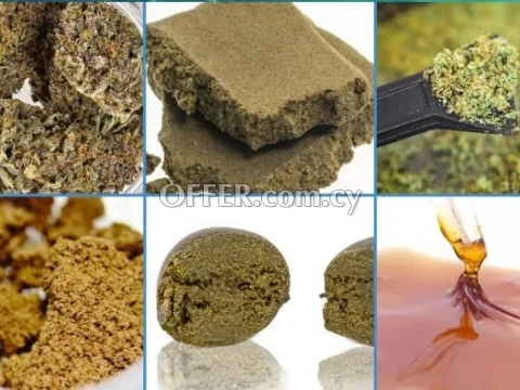 Buy Hashish crystal powder, Hashish pure powder, Hashish oil, Hashish capsules best price...(Kedr ID: rc-01) - Main Photo