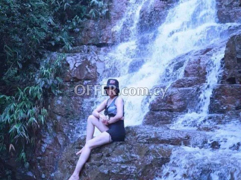 Hello! welcome to my profile - Photo 1