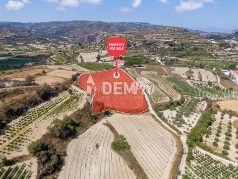 Agricultural Land For Sale in Polemi, Paphos - DP5261 - Main Photo