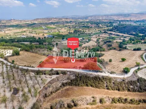 Agricultural Land For Sale in Polemi, Paphos - DP5260 - Main Photo