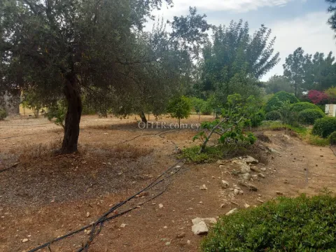 Field for sale in Aphrodite hills, Paphos - Main Photo