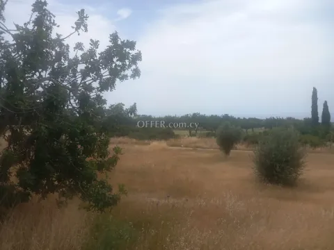 Field for sale in Aphrodite hills, Paphos - Main Photo