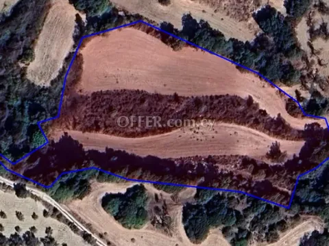 Agricultural Field for sale in Simou, Paphos - Main Photo