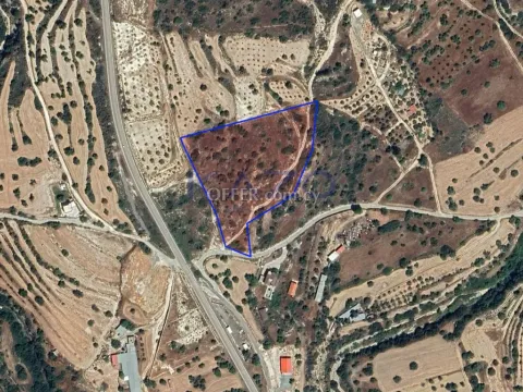 Large Field Plot for Sale in Paramytha Village (Right of Way) - Main Photo