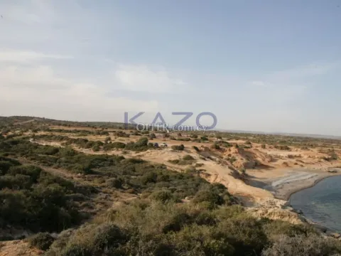 Large Sea View Field for Sale Pissouri Area - 10