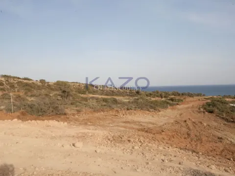 Large Sea View Field for Sale Pissouri Area - 6