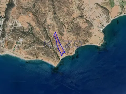 Large Sea View Field for Sale Pissouri Area - 5