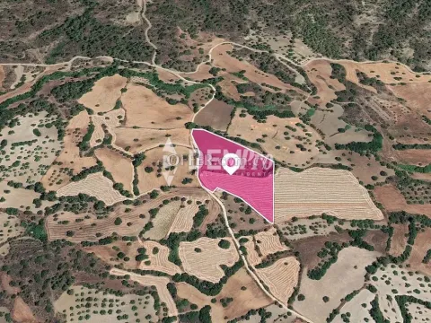 Agricultural Land For Sale in Lysos, Paphos - DP3286 - Main Photo