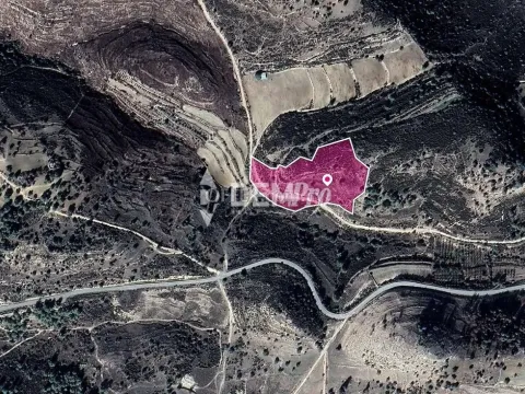 Agricultural Land For Sale in Mousere, Paphos - DP3276 - Main Photo