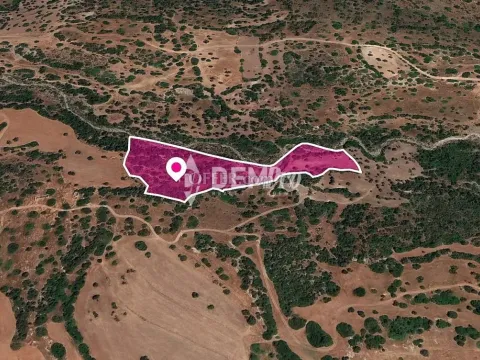 Agricultural Land For Sale in Arodes, Paphos - DP3269 - Main Photo