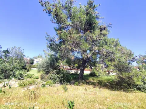 Development Land for sale in Souni-Zanakia, Limassol - Main Photo