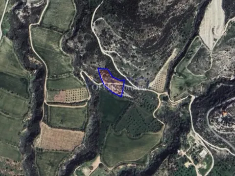 Large 4014m2 Field for Sale in Tremithousa (Landlocked) - Main Photo