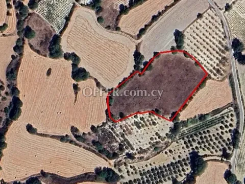Agricultural Field for sale in Lemona, Paphos - Main Photo