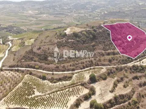 Agricultural Land For Sale in Stroumbi, Paphos - DP3868 - Main Photo