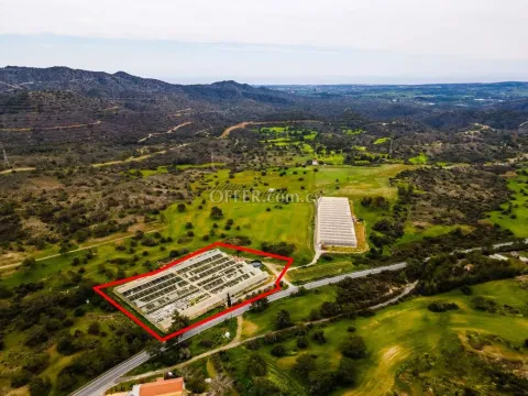 Field in Kornos Larnaca - 4