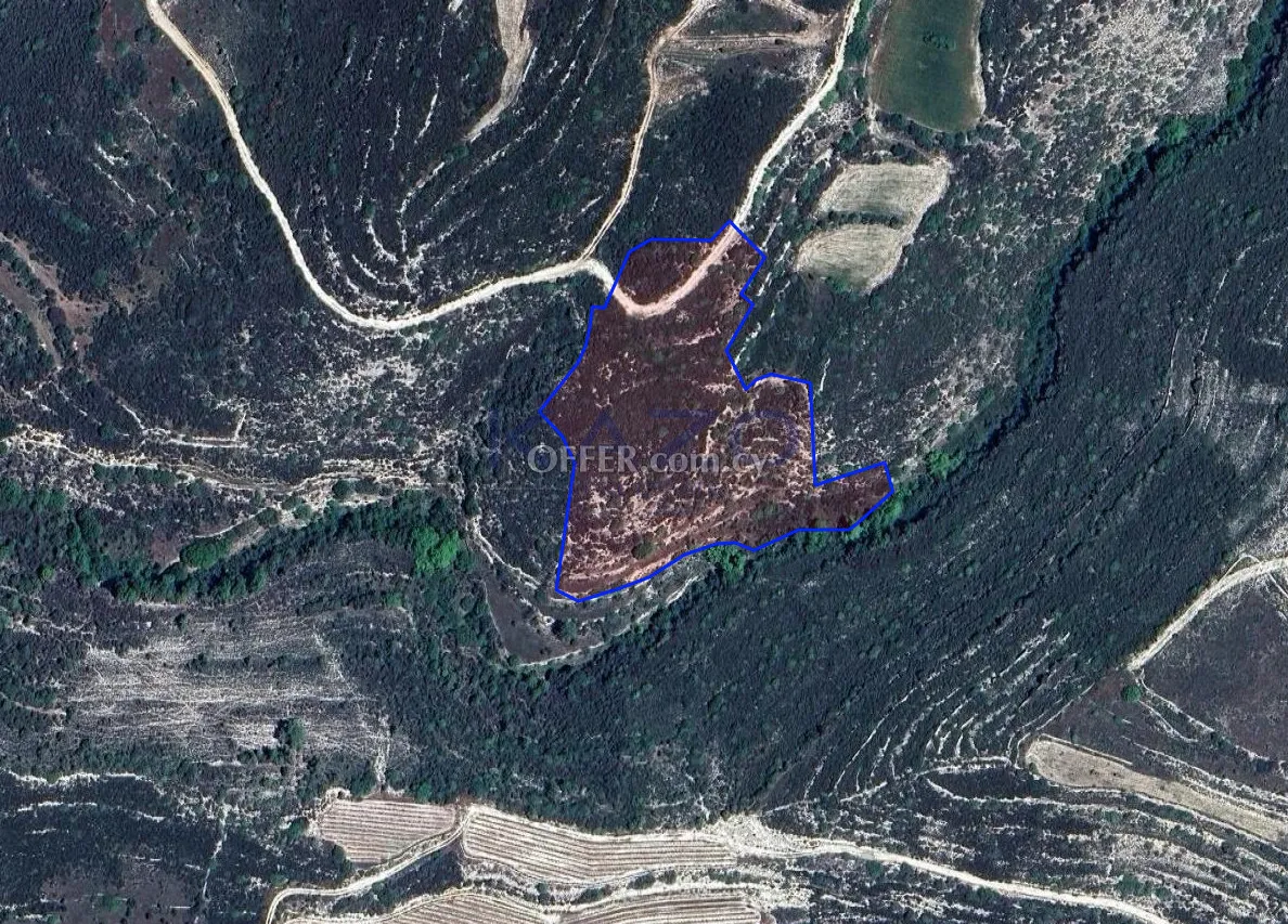 Large 14382m2 Field For Sale in Potamiou Village (Landlocked) - 1