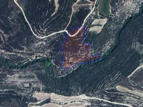 Large 14382m2 Field For Sale in Potamiou Village (Landlocked) - Main Photo
