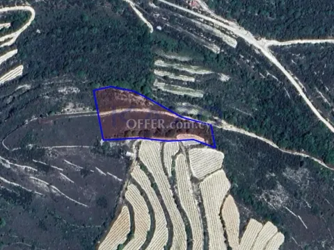 Large 6021m2 Field for Sale in Potamiou (Landlocked) - Main Photo