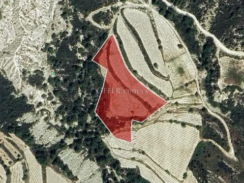 Agricultural Field for sale in Kapileio, Limassol - Main Photo