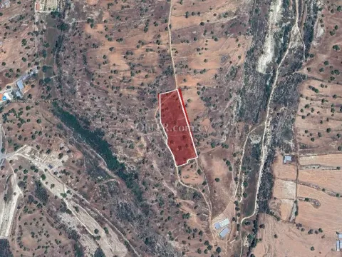 Agricultural Field for sale in Pachna, Limassol - Main Photo
